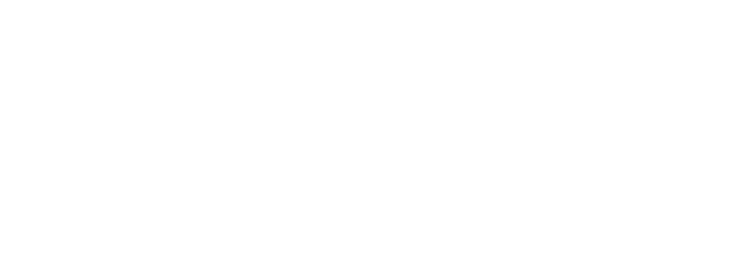 Logo Il Picchio Vino, de mooiste Italiaanse wijnen uit de Marche streek, Italie